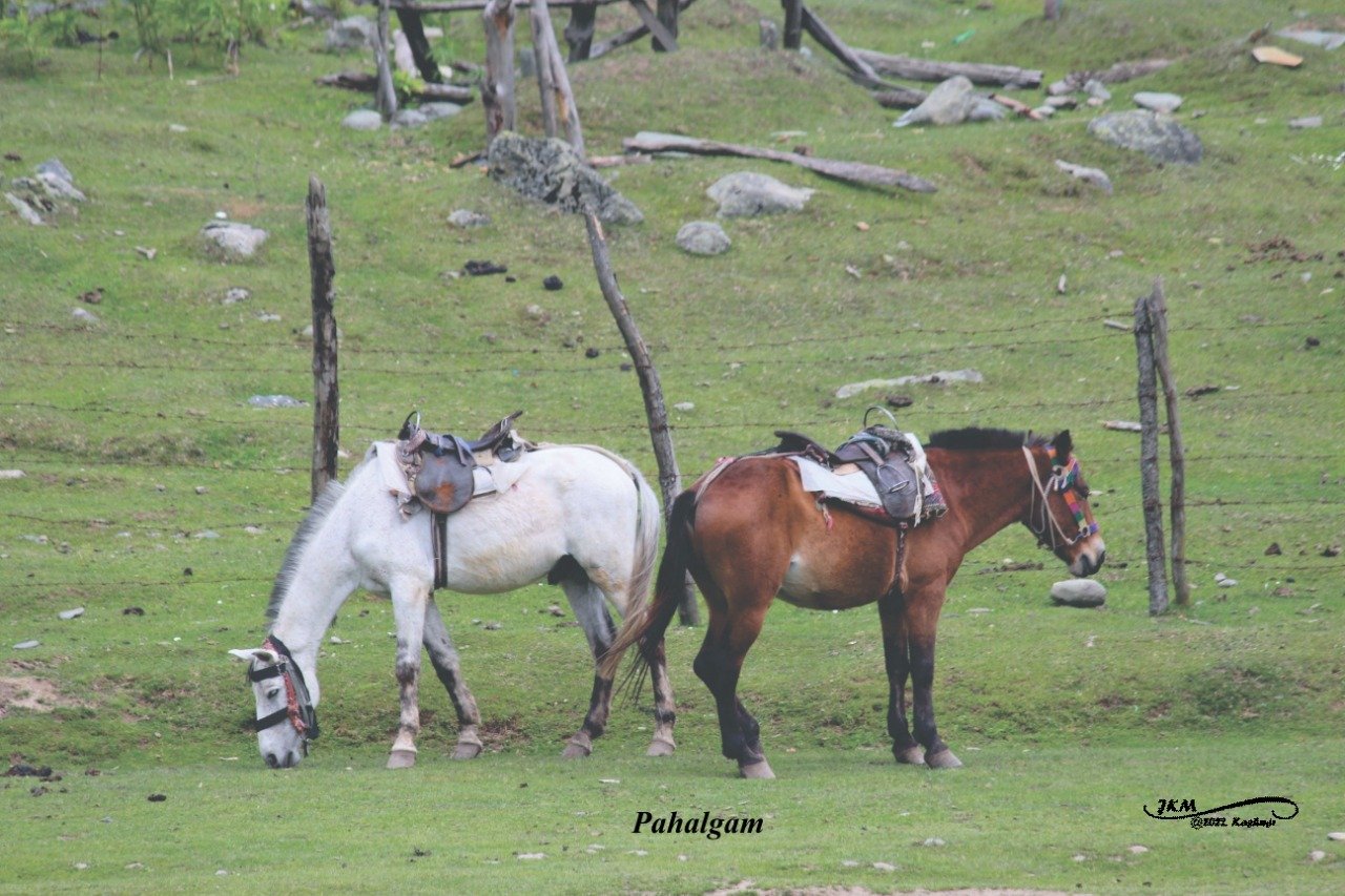 LadakhTrip